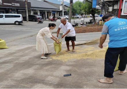 永定區(qū)新橋鎮(zhèn)：辦實事、解民憂，干群合力助秋收717.png