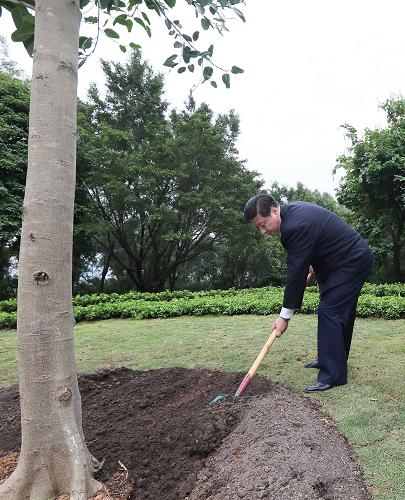 2012年12月7日至11日，習(xí)近平在廣東省考察工作。這是8日上午，習(xí)近平在深圳蓮花山公園種下一棵高山榕樹。新華社記者 蘭紅光 攝