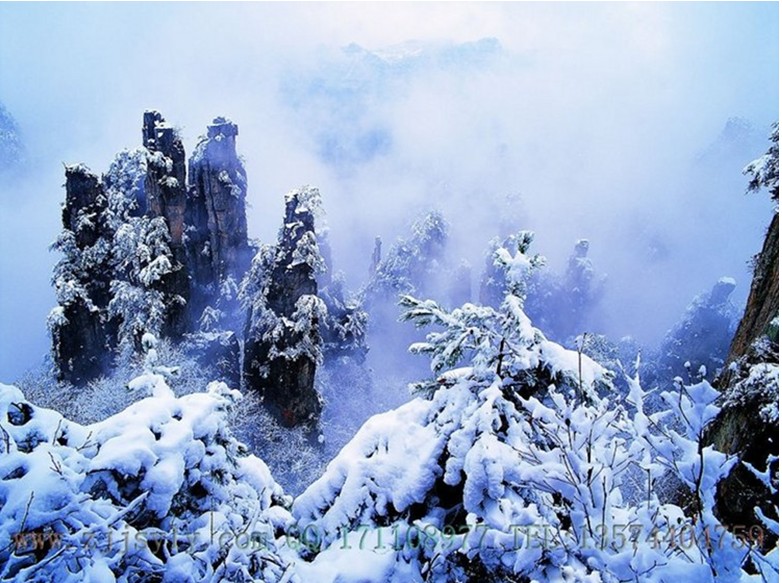 天子山雪景2.jpg